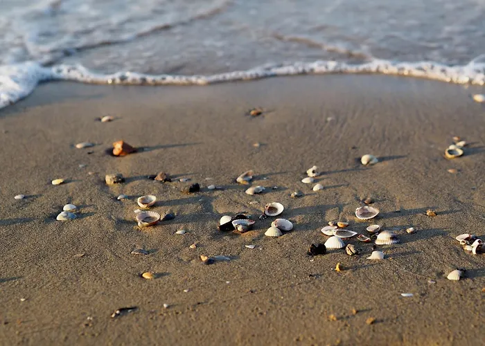 Charming Three Apartment *